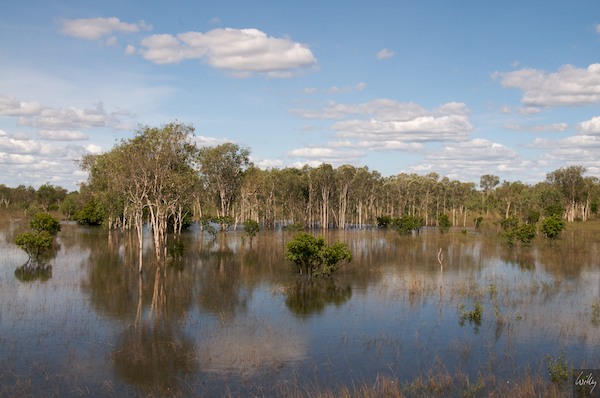 AustraliaAdelaide 10  032